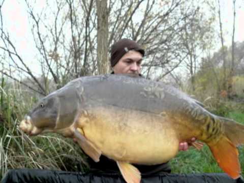 łowisko sazan - jesienna zasiadka.