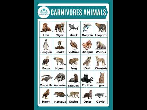 Carnivores Animals #animals  #carnivoresanimalsnames #shortsfeed #animalsvocabulary
