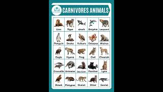Carnivores Animals #animals  #carnivoresanimalsnames #shortsfeed #animalsvocabulary