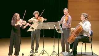 Wednesday Lunchtime Recital Series - Jade String Quartet