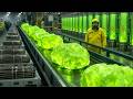 How Is Enriched Uranium Made? The Dangerous Process Behind Nuclear Power (Full Process)