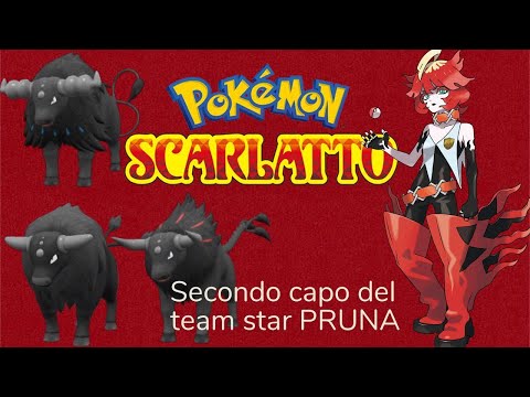 Pokèmon scarlatto TAUROS contro il secondo capo del team star PRUNA