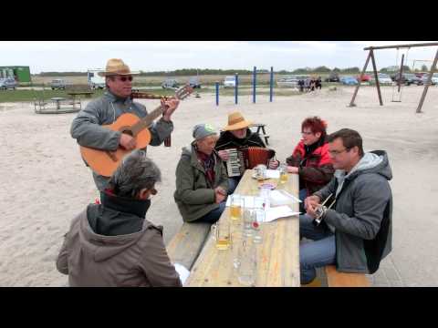 Die Elvitas in Sehestedt 2015