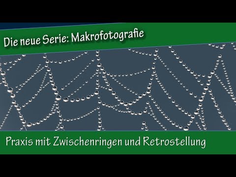 Makrofotografie: 12. Praxis mit Zwischenringen und Retrostellung