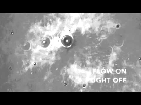 Going against the flow | Science News