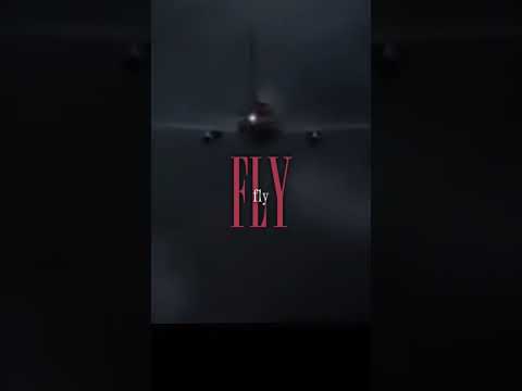 TANS Perú Flights 204 #plane #animation