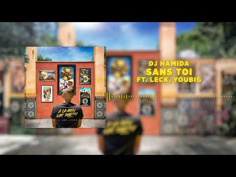 11. DJ Hamida - Sans toi feat. Leck & Youbig (Visualizer)