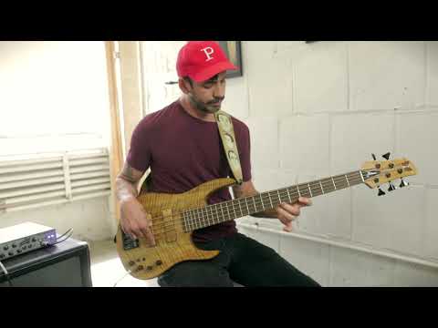 Felix Pastorius and the  AJ Contrabass