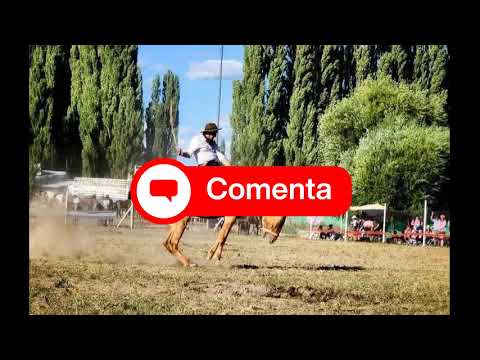 Gualjaina celebra el Festival del Jinete y el Folclore con arte, tradición y paisa // Noticias.lat