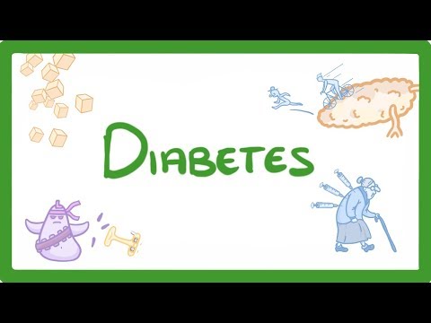 GCSE Biology - Type 1 vs Type 2 Diabetes - What is Diabetes and How to Treat It  #57