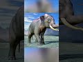 The Missing Zoologist ELEPHANT 3D VORE ANIMATION