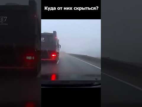 От дальнобойщиков профессионалов не скрыться... #duraki #shorts