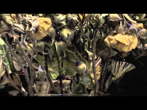 Marc Junghans Fotografie, Galerie Supper, Baden-Baden