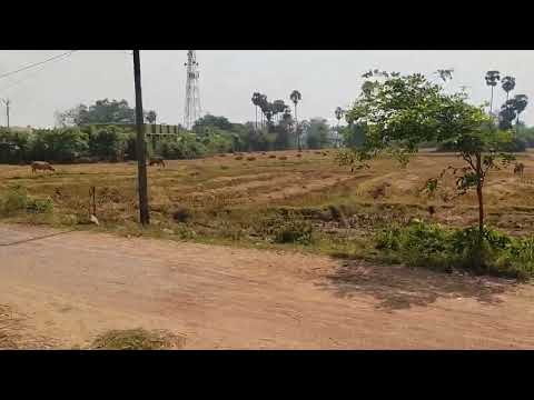  Agricultural Land 20 Cent for Sale in Acharapakkam, Chengalpattu