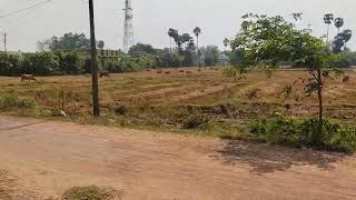  Agricultural Land for Sale in Acharapakkam, Chengalpattu