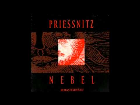 Priessnitz - Nebel