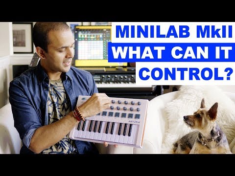 Arturia MiniLab MkII 25-Key MIDI Controller 2017 - Present White image 3