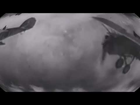 FRIHETEN LEVE EARRAPE