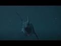 Dinoshark Vs Cretaceous Maelstrom