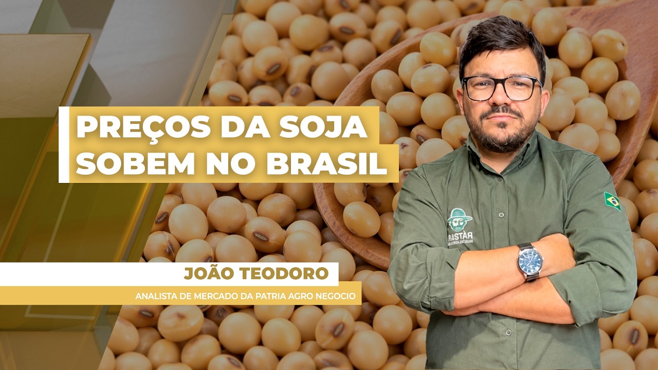 FECHAMENTO DE MERCADO DA SOJA - EDIÇÃO 25/06/2026