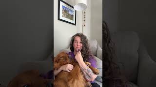 My honest review 🤭🥰 #goldenretriever #dogmom #productreview #doghumor