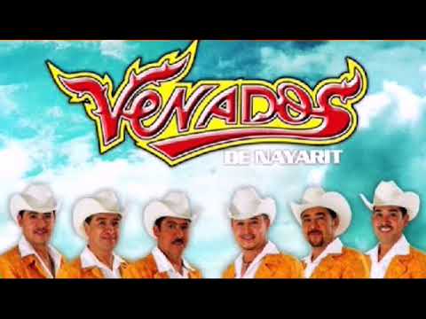 MIX VENADOS DE NAYARIT / CUMBIAS Y NORTEÑAS