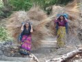 Gaon Ki Yaad