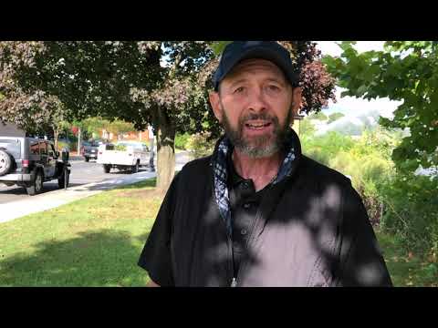 How to remove & dispose of Spotted Lanternfly egg casings