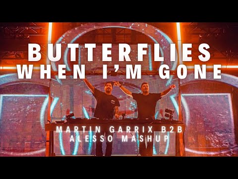 Butterflies vs When I'm Gone (Martin Garrix B2B Alesso Red Rocks 2025 Mashup) (Renzed Remake)