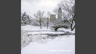 Winter in New York Music Video