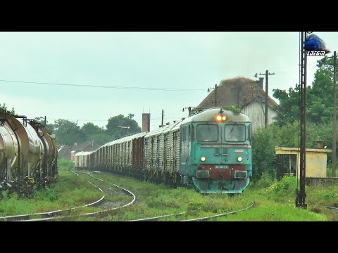 Fluieroasa 60-0897-3 Whistle Loko&Marfar CFR MARFĂ Freight Train in Gara Beiuș Station 07 July  2020
