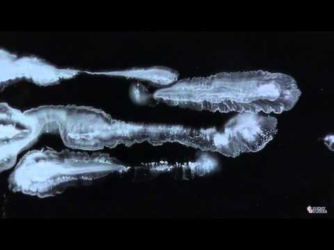 Federico Bagnasco "NUVOLE"