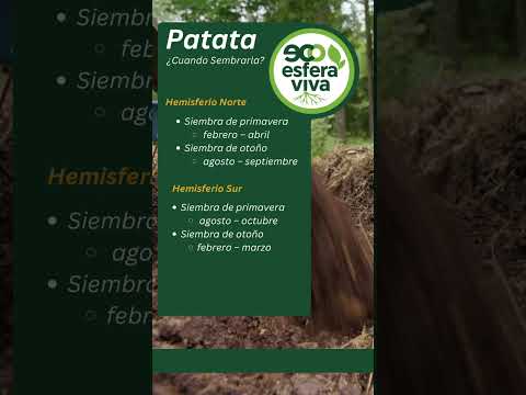 Potato Planting Times: Northern & Southern Hemispheres