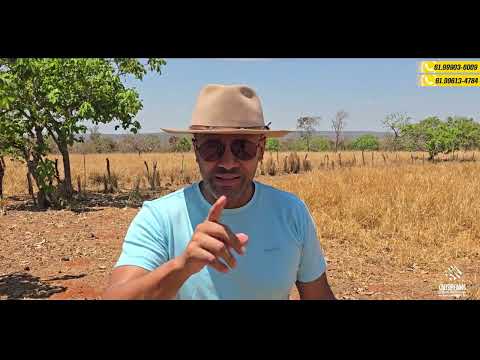 SÍTIO À VENDA – Unaí/MG (22 km de Cabeceiras-GO), pecuária, corte, leite e lavoura. R$800.000,00.