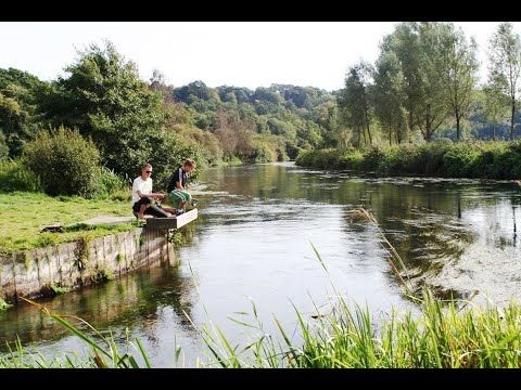 Ray Walton - HAMPSHIRE AVON, SANDYBALLS HOLIDAY VILLAGE, GODSHILL, HAMPSHIRE