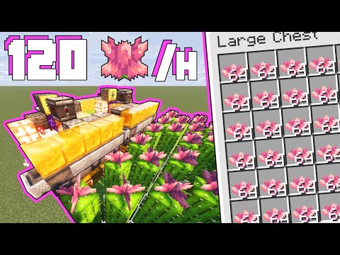 120 FIORI di CACTUS all'ORA! 🌵 Farm Automatica COMPATTA - Tutorial Minecraft JAVA ITA