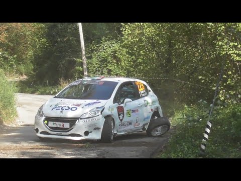 CRASHES, MISTAKES & SHOW!! 45° Rally 1000 Miglia 2022.