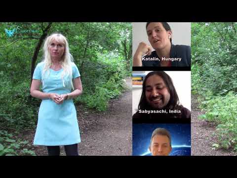 Dreams of the new Dutch: 10 best-kept-secrets to adapt to a new culture, language, job and people.