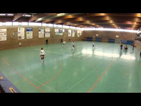 Spieltag der 1.Bundesliga Nord Faustball - MTSV Selsingen - SG Stern Kaulsdorf am 27.01.2014