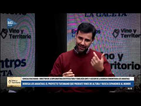 Bodegas Los Amaichas: el proyecto tucumano que produce vinos de altura y busca expandirse al mundo