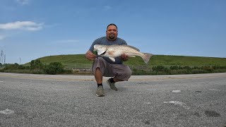 Lunar Eclipse FISHING!! Was FIRE🔥