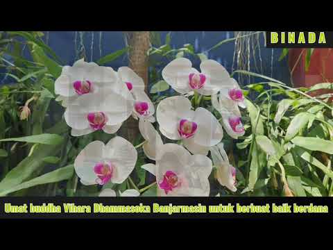 Niat merupakan landasan dari perbuat baik mau pun buruk