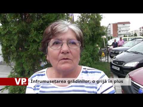 Înfrumusețarea grădinilor, o grijă în plus