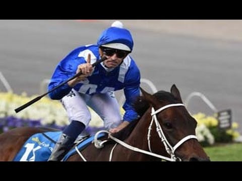 2015  MVRC W S Cox Plate