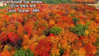 Tanita Tikaram - World Outside Your Window  1989 당신의 창밖의 세상