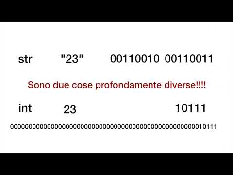 Python: tipi di variabile - int, float e string