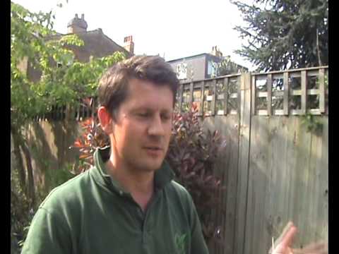 园丁/园丁 -  mytalentplace