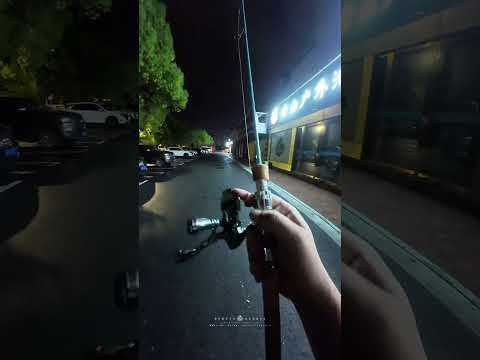 Lure straight handle spinning reel fancy ejection casting