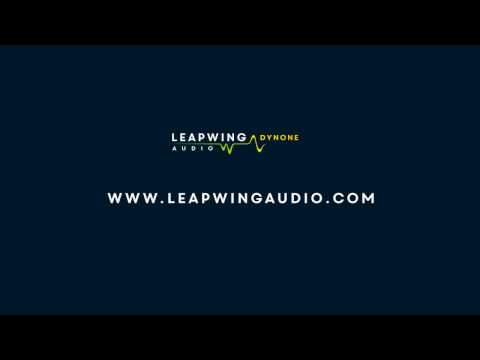 Leapwing Audio - DynOne Tutorial