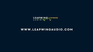 Video thumbnail for Leapwing Audio - DynOne Tutorial by Leapwing
